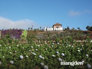 Ê Ban Farm - Khu sinh thái mô hình farmstay tại Măng Đen